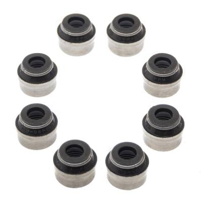 553-191-FPM-SET/8/-MS - Dichtungssatz, Ventilschaft
