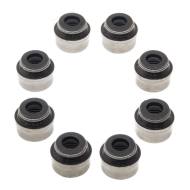 553-191-FPM-SET/8/-MS - Dichtungssatz, Ventilschaft