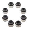 553-191-FPM-SET/8/-MS - Dichtungssatz, Ventilschaft