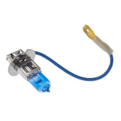 H3-12V55W/X+30%-PCS-MS - BULB