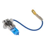 H3-12V55W/X+30%-PCS-MS - BULB