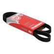 5PK1140-PCS-MS - Keilrippenriemen
