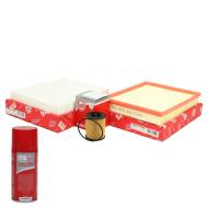 450001302P - Filter-Satz