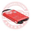AVX-10X800-PCS-MS - Keilriemen