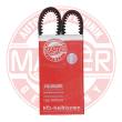 AVX-10X800-PCS-MS - Keilriemen