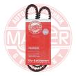 AVX-10X925-PCS-MS - Keilriemen