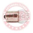 B213-PCS-MS - Glühlampe, Innenraumleuchte